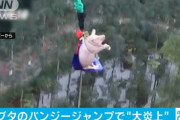 【動画あり】豚?、バンジーさせられて悲鳴を上げてしまう