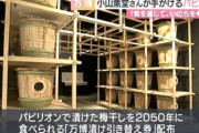 大阪万博「開催中に梅干しを漬け25年後に開封します。梅干しを未来につなげて欲しい」