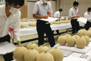 海外「日本でメロンは高級品なの？」贈答用と庶民が食べる用と混同しないでね！