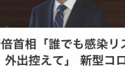 安倍首相、激おこ「外に出んじゃねぇっつてんだろが」　お前らどうする？