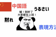 日本人「何で中国人ってあんなにうるさいの？目の前の距離でも大声で話してるんだけど…」　中国の反応