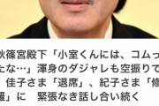 秋篠宮「小室クンにはコムったなぁ」→佳子さま退室、紀子さまガチギレこれもう家庭崩壊だろ… |  圭さん違い