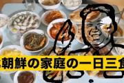 【驚き】韓国人「北韓国の3食の典型例がこちら！」