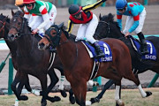 【競馬】ジェンティルドンナと比べると、他の近年の最強牝馬候補が笑えるぐらい雑魚