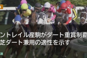 コントレイル産駒がダート重賞制覇！芝ダート兼用の適性を示す