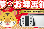 【朗報】ヨドバシのswitch有機EL福袋　再販きたぞｗｗｗｗ