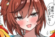 【ウマ娘】憂鬱な月曜日に応援してくれるネイチャさん、これで今週も頑張れるんだ…