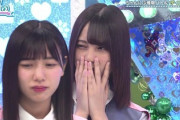 【日向坂46】悪こさかな、見つかるwwww