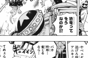 ワンピースの敵「まずは自分の能力の説明しなきゃ…」