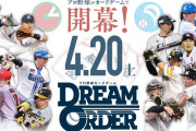 今日から発売のプロ野球カードゲーム「プロ野球ドリームオーダー」がびっくりするほど空気