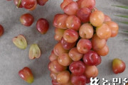 韓国人「また韓国人の盗みが明らかに！」今度は日本の人気ブドウ品種『マイハート』を丸パクリして国内販売‥　韓国の反応