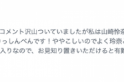 【乃木坂46】これはれなちにも漢字一文字違いの山崎玲奈さんがホリプロスカウトキャラバングランプリを取った件伝わってるなwwwwww