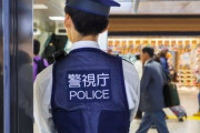 付きまといで逮捕された日本人女性が逮捕した警察官に付きまとい逮捕される（海外の反応）