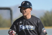 日本ハムファイターズ所属台湾の大王こと王柏融選手、完全に忘れ去られる
