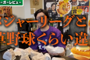 【画像】料理研究家リュウジ「モスバーガーはメジャーリーグ、マクドナルドは草野球」