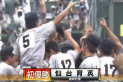 白河の関 12勝1敗184セーブ