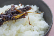 日本人「コオロギとか人間の食いもんちゃうわ?」 長野県民ワイ「ｼｭﾊﾟﾊﾟﾊﾟﾊﾟ！！」