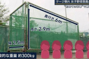 札幌新陽高校女子硬式野球部員、300キロのバッティングケージの下敷きになり意識不明の重体