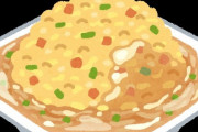 チャーハンと白いご飯を注文してチャーハンとご飯混ぜて増量する人いるんだな。