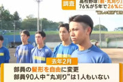 高校野球「脱・丸刈り」急速に進む　5年で76％→26％