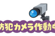 「屋根の上を確認したら、猫たちが防犯カメラの役目を果たしていた…」強力な監視ぶり
