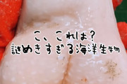 漁師が海から引き揚げた禁断の海洋生物。人類は試されているのか？
