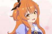 【ウマ娘】マヤシコチケットを1枚消費するスレ