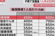 こども･子育て支援金､2026年度は平均450円程度 なお2028年度には平均800円に