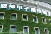 阪神・甲子園がチケット難も《外国人専用席》増設へ　虎ファン「終わってる」と大激怒！