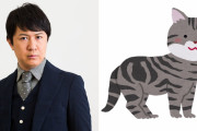 杉田智和さん「もう君にまた会いたい」切ない×キュンな猫との交流に「恋じゃん」