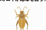 【！？】無印良品の新商品に『コオロギせんべい』が爆誕！　環境問題と食糧難を解決するための昆虫食を本格的に開発へ