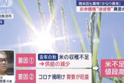 【悲報】貧しくなった日本人さん、とうとう「お米」が食べられなくなる。米価格が倍に高騰