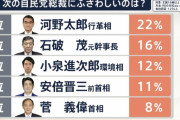 小泉進次郎さん、次期首相候補になってしまう