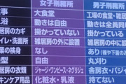【社会】「至れり尽くせり…最高じゃないですか」 男性刑務所より自由で、何回も再犯して入りたがる女性多数
