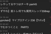 ワイ「筋トレハマったしウエイト板でも見てみるか…」