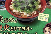 【画像】すき家さん、美味そうな新メニューを出してしまう