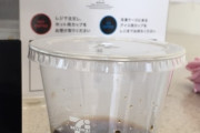 ワイ「アイスコーヒー、氷抜きで」店員「チッかさ増し出来ねぇ」