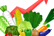 【このままでは野菜ショックへ】「日本人は野菜を食べられなくなる…」異常気象でイチゴもクリスマスケーキも高騰《野菜の奪い合い》が激化…