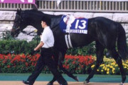 中央競馬獲得賞金ランキングTOP10に1頭場違い感強いやつおる件