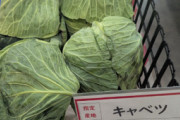 【海外の反応】東京のキャベツ価格がもはや制御不能になってる