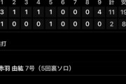 DeNA　二軍で東７回２失点、平良２回無失点　勝又４安打　大田も復帰してヒット！
