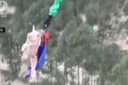 【中国】豚?にバンジーさせて大炎上【動画】　