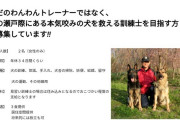 【悲報】犬のしつけ士「見習い募集します！対象は18歳〜27歳の女性のみですｗｗｗ」