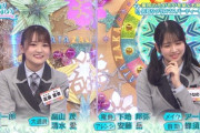 【日向坂46】次週『ひなあい』早速クリスマスパーティーｷﾀ―――(ﾟ∀ﾟ)―――― !!