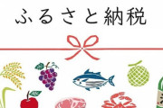 ふるさと納税の利用率すら15%未満で馬鹿だらけの日本ってもうダメだろ