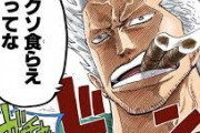 【ワンピース】スモーカー大佐「モクモクの実！！！もくもくもく！」　かつての俺「うおー！ロギアつえー！」
