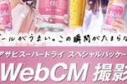 【乃木坂46】白石麻衣＆西野七瀬の『WEB CM』に応募できるやつってすげえ