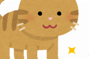 【速報】一番かわいい猫の種類、『キジトラ』に決定するwｗｗｗｗ