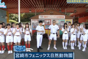 【日向坂46】動物園→球場の移動中に何故かズボン丈が短くなる春日さんｗｗｗｗｗｗｗ