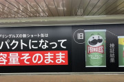 プリングルスさん、ガチのマジで意味不明な広告を打つ